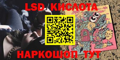 индика Рузаевка