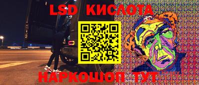 индика Рузаевка