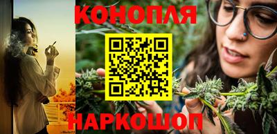 индика Рузаевка
