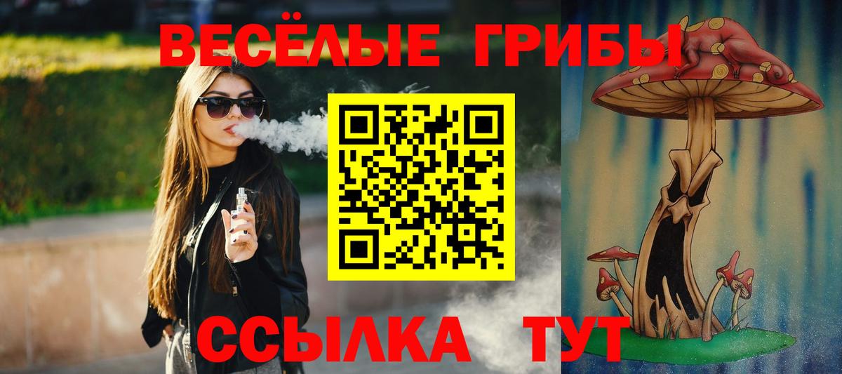 Псилоцибиновые грибы Cubensis Саянск