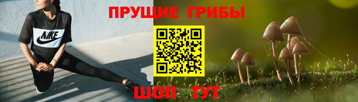 Галлюциногенные грибы Magic Shrooms  Вход с VPN  Саянск 